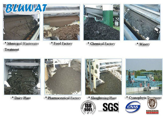 खरीदें स्लज डीवाटरिंग के लिए सफेद पाउडर धनायनित पॉलीक्रिलामाइड ऑनलाइन निर्माण