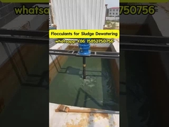 पोलियाक्रिलामाइड फ्लोक्लेंट पॉलीइलेक्ट्रोलाइट जल उपचार स्लड गाढ़ा करना और निर्जलीकरण